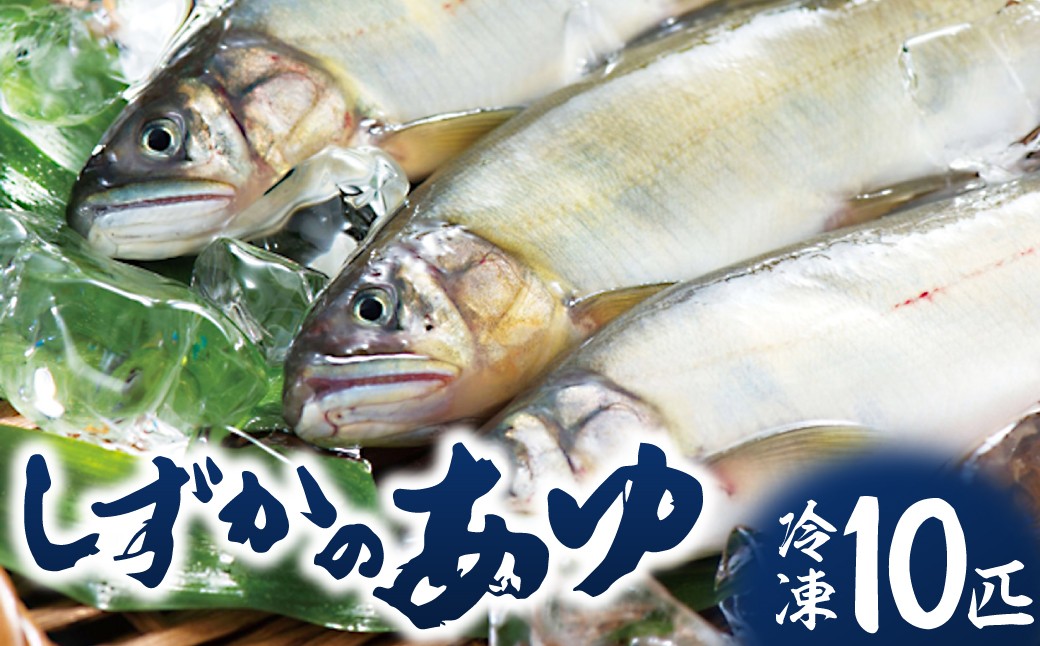 
豊橋の新鮮な地下水の流れの中で健康に育てた『しずかのあゆ』冷凍１０尾セット
