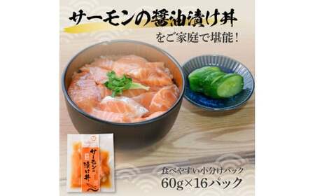 サーモンの醤油漬け丼 16袋セット 1パック60g 漬け丼 海鮮丼 サーモン丼 出汁茶漬け おかず おつまみ 惣菜 魚 魚介類 海鮮 個包装 小分け 真空パック 簡単【企業組合　宇佐もん工房】 [BQ