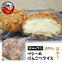 【ふるさと納税】 アイス お菓子 クッキーシュークリーム 8個入 胡麻 ペリーのげんこつアイス 生クリーム ヘルシー 伊豆 下田 【ロロ黒船】 冷凍 お取り寄せ バレンタイン ホワイトデー 母の日 父の日 お中元 敬老の日 お歳暮 プレゼント 送料無料