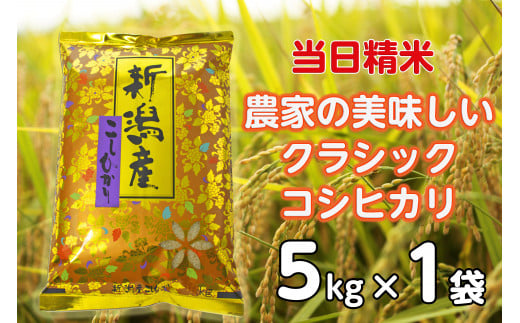 【令和7年産新米】 当日精米! 農家直送 美味しい クラシックコシヒカリ 5kg 精米 白米 水原町農産センター 1F22018