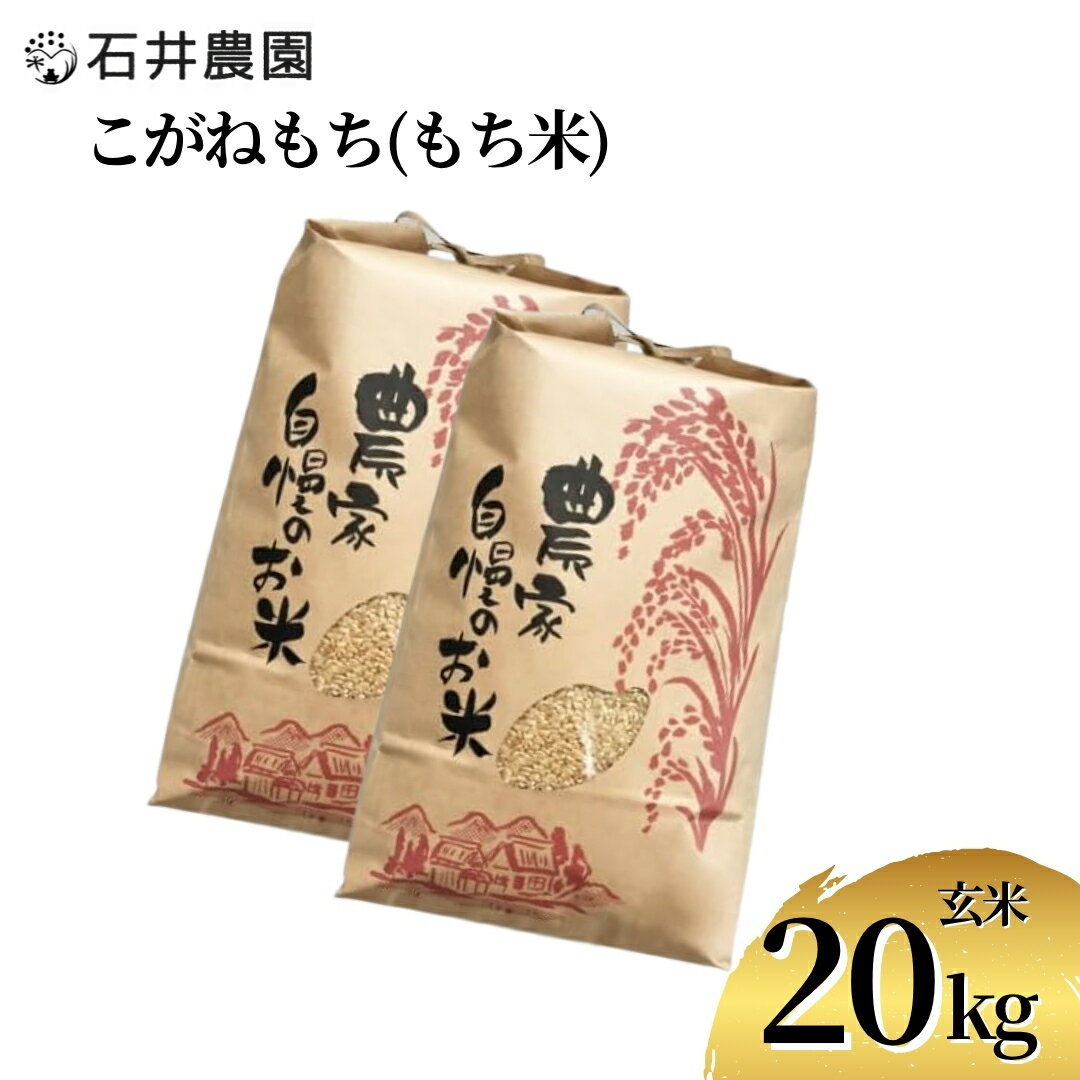 【ふるさと納税】新潟県弥彦村石井農園　令和7年産 こがねもち【玄米 20kg】玄米もち、玄米おはぎ、玄米おこわ等に | 新潟県 弥彦村