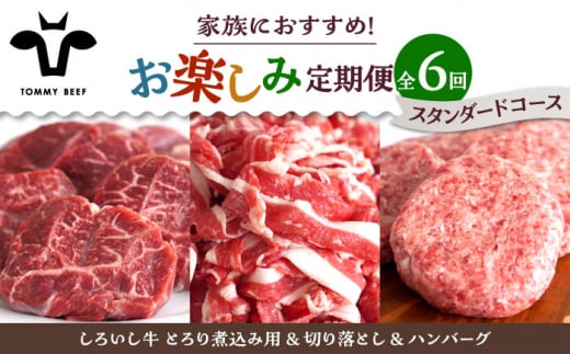 【牧場直送】【6回定期便】しろいし牛 家族向け お楽しみ 定期便（スタンダードコース）【佐賀セントラル牧場】佐賀県産 牛肉 お肉 肉 ハンバーグ 切り落とし 炒め物 贅沢 九州 佐賀県 白石町 [IAH210]