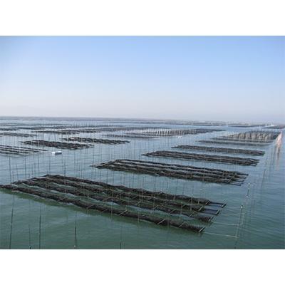 ふるさと納税 柳川市 【福岡有明のり】初摘み海苔セット |  | 01