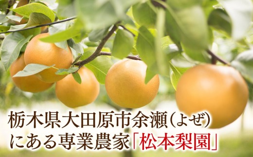 余瀬松本梨園 梨 豊水5kg 箱≪8月中旬～10月頃発送≫