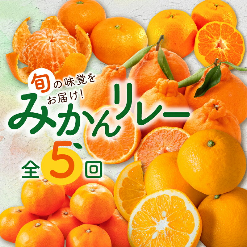 【ふるさと納税】丸安青果 大好評、みかんの定期便！その月一番のおすすめ旬のみかんをお届けいたします(全5回)
