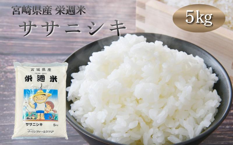 
                  栄週米 ササニシキ（精米）５kg【isff001】
                