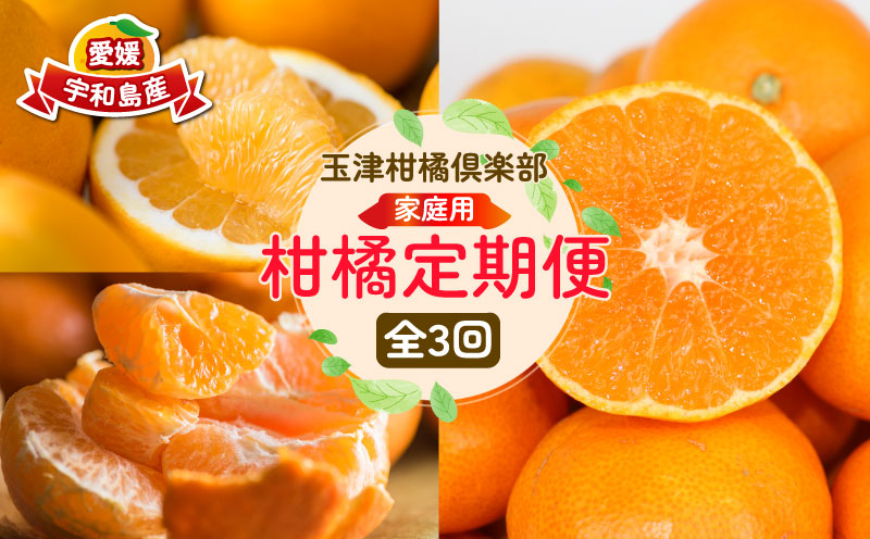 柑橘定期便 全 3回 みかん定期便 家庭用 早生 温州みかん ぽんかん 河内晩柑 玉津柑橘倶楽部 先行予約 サイズ 不揃い ポンカン 果実 果物 くだもの フルーツ 柑橘 愛媛蜜柑 愛媛みかん mikan 産地直送 数量限定 国産 愛媛 宇和島 B030-072048
