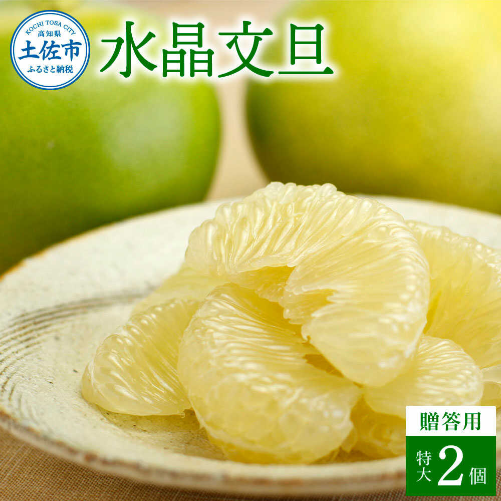 【ふるさと納税】【先行予約】水晶文旦 特選ご贈答用 特大 約1.5kg（2個入） 土佐文旦 高知 柑橘 フルーツ ぶんたん 果物 甘い 旬 産直 お取り寄せ 季節限定 プレゼント 水晶文旦 希少 高知県土佐市/白木果樹園[BQAI020]