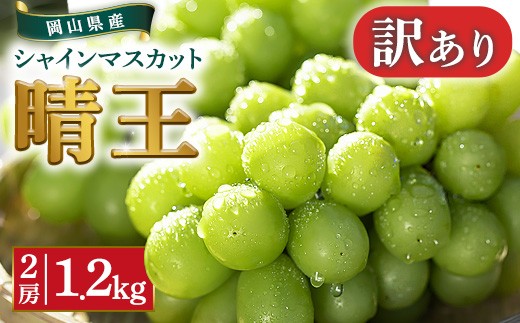 
                  【訳あり】シャインマスカット晴王2房【2026年9月中旬～10月下旬発送予定】（いばら愛菜館）
                