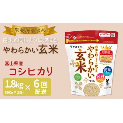ふるさと納税 碧南市 やわらかい玄米 1.8kg(900g×2袋)　※6回定期便　　H074-649
