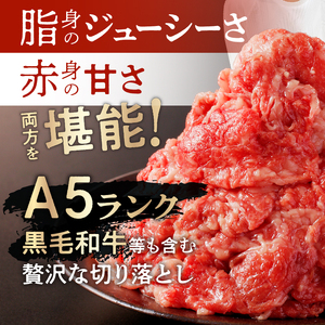 お試し ！ 厳選 ！ 国産 牛肉 切り落とし 400g 小分け 真空パック (200g×2) 小間切れ 牛丼 カレー 便利 お取り寄せ グルメ 食品 すき焼き しゃぶしゃぶ 鍋 焼肉 鉄板焼 おすすめ