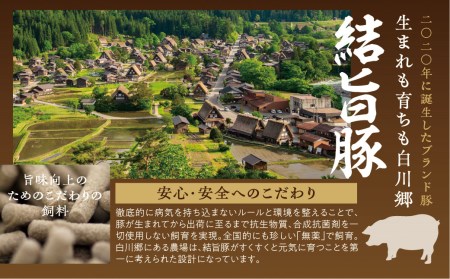 白川郷 結旨豚 ロース 肩ロース とんかつ 食べ比べセット 計800g 豚肉 国産 白川村 100g×8枚 小分け ポークステーキ カツ トンカツ ブランド豚 12000円 [S298]