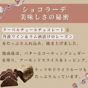 天然酵母シュトレンショコラーデ ハーフサイズ 約300g シュトーレン シュトーレン