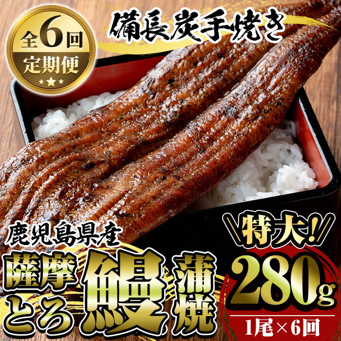 【ふるさと納税】【定期便6回】薩摩とろ鰻蒲焼特大サイズ1尾(280g)×6回 うなぎ ウナギ 蒲焼き 蒲焼 かばやき タレ 鹿児島 国産 冷凍【株式会社志】