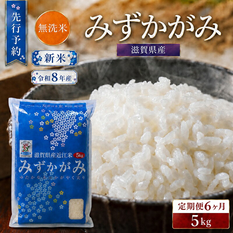 【ふるさと納税】【令和8年産】 先行予約 新米 BG無洗米 みずかがみ 5kg 6回定期便 令和8年産 定期便 米 無洗 無洗米こめ コメ お米 ご飯 米 ミズカガミ 米定期便 6か月定期便 6ヶ月定期便 6回 6ヶ月 6か月 滋賀県 豊郷 豊郷町　お届け：2026年10月中旬～2027年12月末