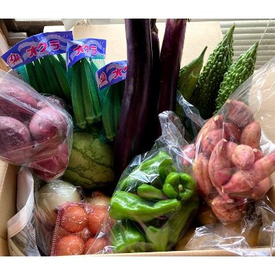 ふるさと納税 西之表市 種子島発　旬の野菜と玉子セット |  | 01