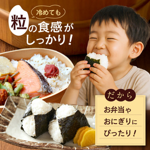 【先行予約】令和8年産 新米 【定期便6回】カワノ農園　MOA自然農法米「森のくまさん」白米10kg 米 無農薬 ブランド米 自然農法プラチナ 白米 カワノ農園 安心 安全 体に優しい 食品 送料無料