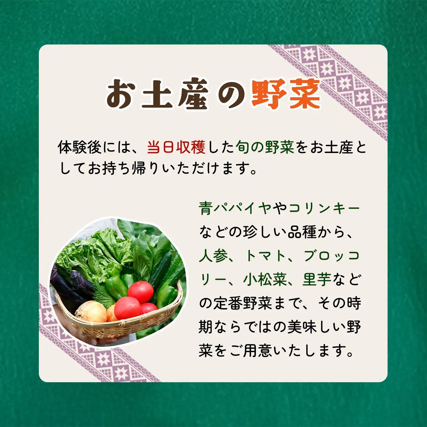 収穫体験 チケット 4名 収穫体験