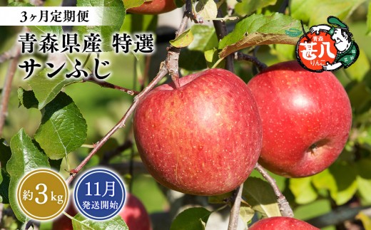 
                  【2026年11月発送開始】青森県産 サンふじ りんご 特選 約3kg 3ヶ月定期便 青森りんご 林檎 フルーツ 平川市【hi-0058-174】
                