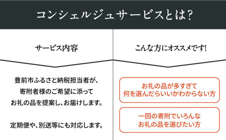 【あなただけの特別プラン】豊前市 コンシェルジュ 寄附額 200万円 コース おすすめ おまかせ 定期便 [VZZ004]