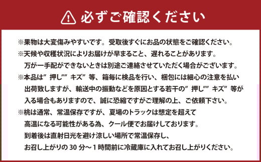 詰合 白桃 2玉 （1玉220g以上） シャインマスカット晴王 2房 （1房480g以上） 化粧箱入り 【2026年7月下旬～8月上旬迄発送予定】 果物 くだもの フルーツ 桃 もも モモ ぶどう ブ