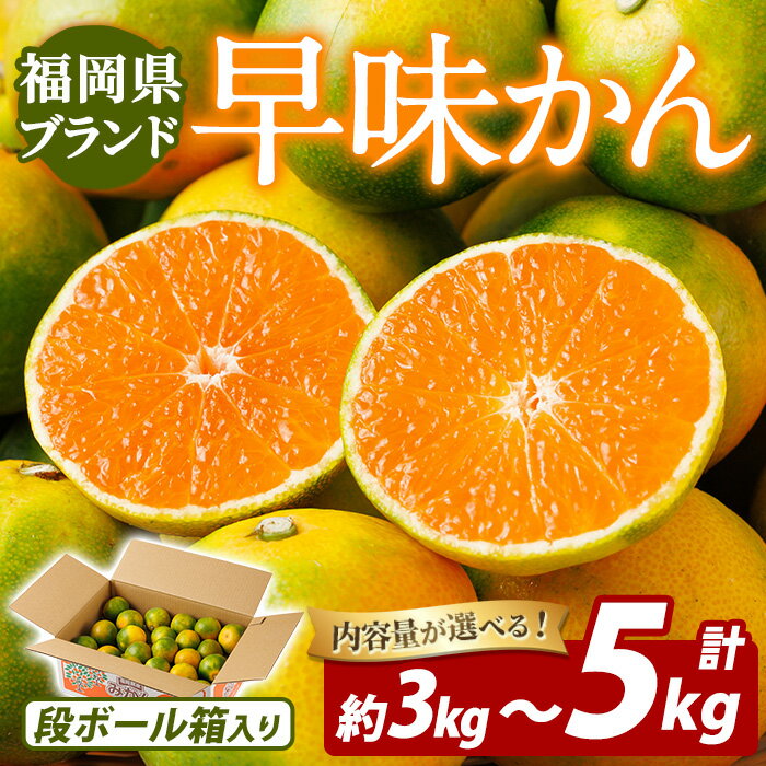 【ふるさと納税】＜先行予約受付中！2026年9月中旬以降順次発送予定＞≪容量選べる≫福岡県ブランドみかん 早味かん(計約3kg～約5kg) みかん ミカン オレンジ 蜜柑 はやみかん 温州 極早生 ブランド 柑橘 果物 くだもの フルーツ 生 国産 冷蔵【農産物直売所ほたるの里】