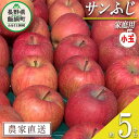 【ふるさと納税】 りんご サンふじ 家庭用 ( 小玉 ) 5kg 原山農園 沖縄県への配送不可 令和6年度収穫分 長野県 飯綱町 〔 信州 果物 フルーツ リンゴ 林檎 長野 11000円 予約 農家直送 〕発送時期：2025年1月上旬～2025年3月上旬{**}