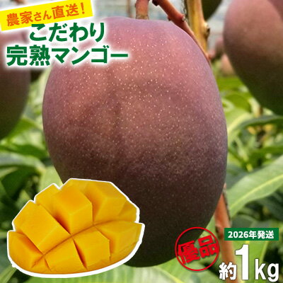 【ふるさと納税】【2026年発送先行予約】こだわりのアップルマンゴー　優品1kg　ふるいっと 数量限定 名護市 沖縄 フルーツ くだもの 果物 南国 スイーツ デザート 人気 おすすめ ギフト プレゼント 期間限定 おきなわ アップルマンゴー 優品 贈り物 大自然 お取り寄せ