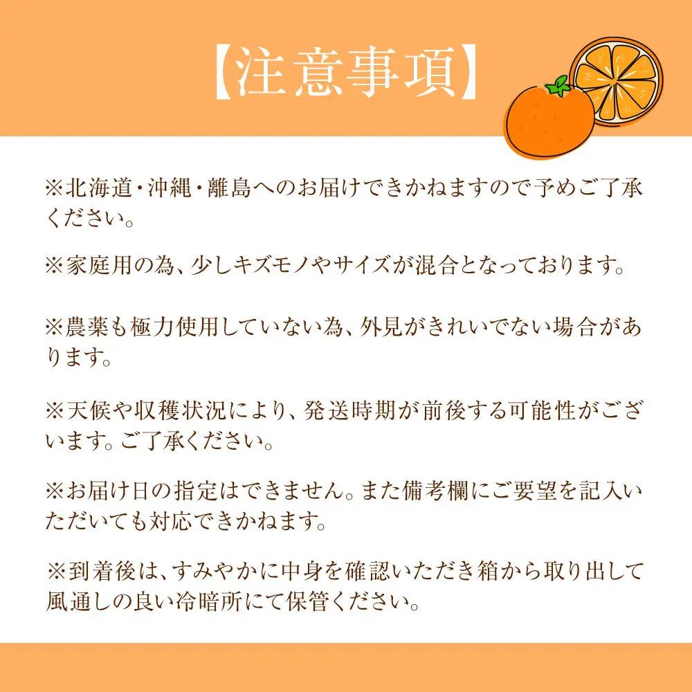 家庭用 森本農園の手選別 小粒みかん 約6kg 和歌山県産 2S・3Sサイズ混合 ［北海道・沖縄・離島配送不可］［2026年11月上旬から順次発送］［RN61］