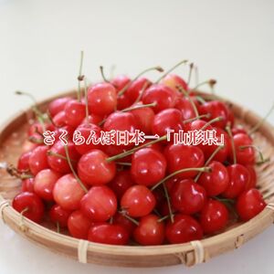 ＜先行予約＞さくらんぼ 佐藤錦 秀品 L 500g 【2026年6月下旬頃発送】 山形県 朝日町産 農産物 フルーツ 山形産 バラ詰め サクランボ 高級 果物 初夏