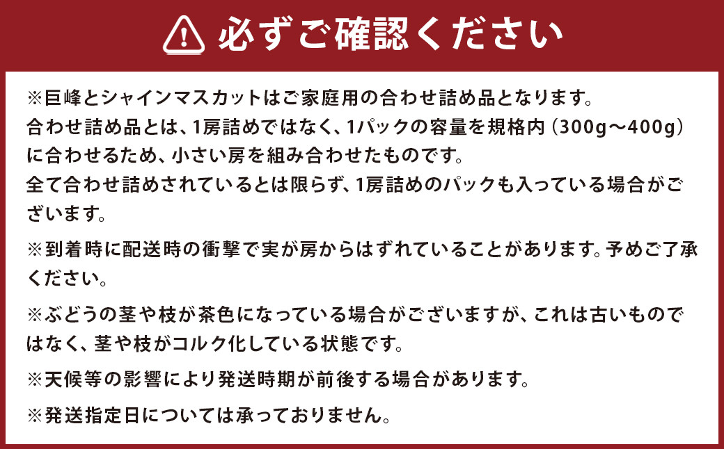 【定期便 4回コース】時津の果物定期便 みかんとぶどうの町から贈る 特産品の定期便