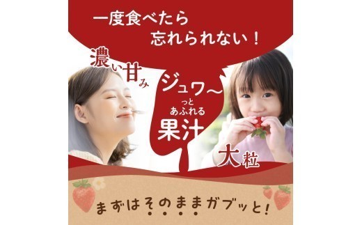 福岡県産あまおう 270g×4パック【2026年3月発送開始】