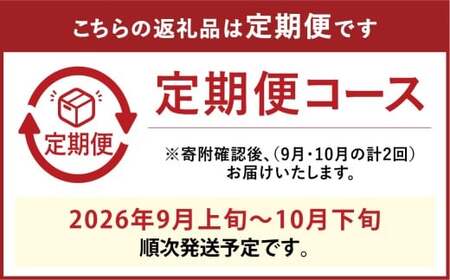 [HS]【2回定期便】シャインマスカット 晴王 2房 約1kg【2026年9月上旬～10月下旬発送予定】マスカット 葡萄 ぶどう ブドウ フルーツ 果物 くだもの デザート 冷蔵 岡山県 倉敷市
