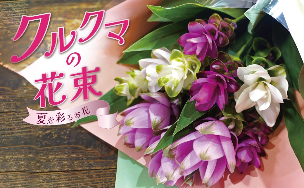 
                  【暑さに強い花】 クルクマの花束 クルクマ 花 紫 白 夏 敬老の日 贈り物 プレゼント フラワーギフト インテリア 雑貨　H092-050
                