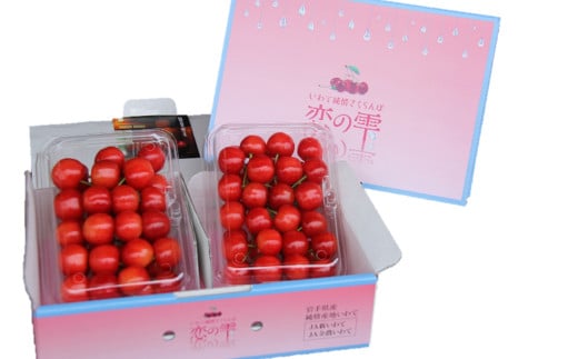 さくらんぼ 佐藤錦 ｢恋の雫｣  約700g (約350g×2パック) 【2025年6月下旬から7月上旬発送予定】／サクランボ フルーツ 果物 くだもの チェリー