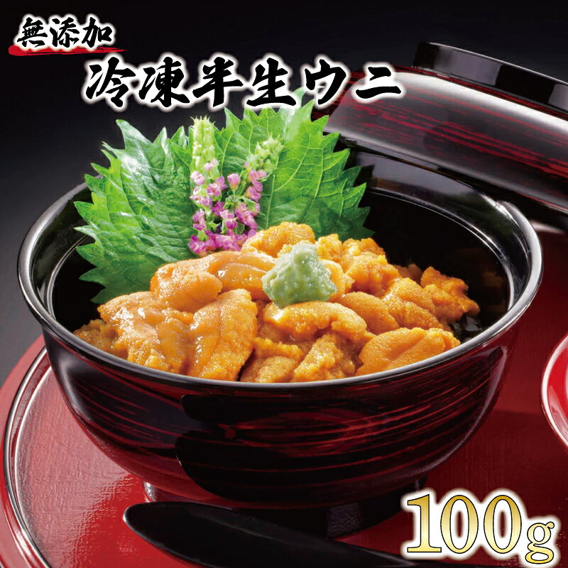【ふるさと納税】 半生うに 100g 冷凍 うに キタムラサキウニ ミョウバン不使用 ウニ 冷凍うに 簡単 雲丹 uni ギフト プレゼント 贈答品 人気 贈り物 海鮮 海産物 被災 震災 火災 応援 支援 火事 山火事 災害 大船渡 大船渡市 三陸 岩手県 岩手 鎌田水産