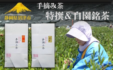 【価格改定予定】茶葉 お茶 緑茶 手積み 新茶 特選 自園銘茶 100g 2袋 静岡県産 自然栽培