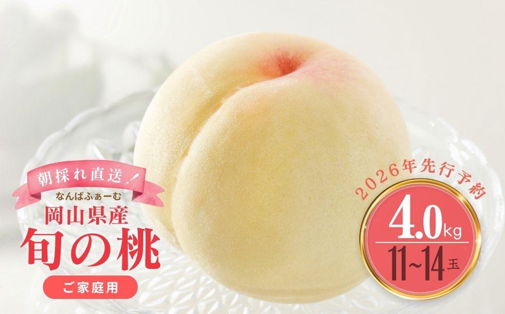 【2026年先行予約】［なんばふぁーむ］岡山県産 旬の桃 4.0kg（11～14玉）［ご家庭用］｜桃 もも モモ フルーツ 果物 朝採り旬 岡山県産 産地直送 産直 送料無料 鏡野町