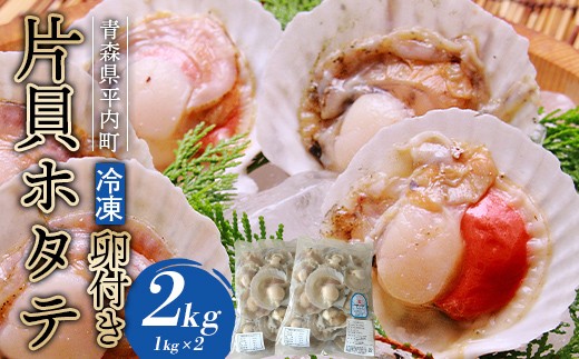 
                  冷凍 卵付き片貝ホタテ 2kg【亀田商店】 ほたて ホタテ貝 帆立 貝柱 魚介 下処理済み バーベキュー BBQ おすすめ 青森県 平内町 F21J-397
                