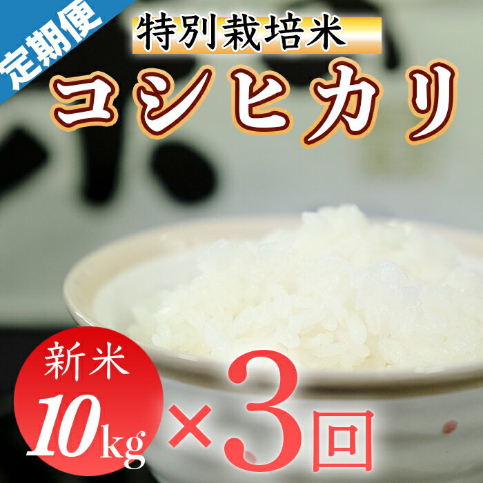 【ふるさと納税】令和7年産 (精白米)　特別栽培米　こしひかり10kg ×3回配送　(1回/月）