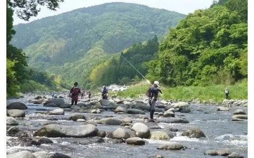 天然狩野川鮎の甘露煮　3本セット　/ 鮎 天然 狩野川 甘露煮 国産 静岡県 伊豆市 狩野川 清流育ち 無添加 手作り ご飯のお供 おつまみ ギフト 郷土料理　013-001