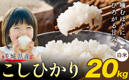 米 こしひかり 白米 茨城 ふるさと米 20kg《1-5日以内に出荷予定(土日祝除く)》 茨城県 結城市 米 国産 お米 おこめ お弁当 おにぎり