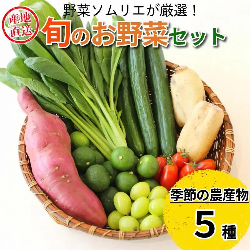 野菜 ５種セット 旬の野菜 詰め合わせ おまかせ 新鮮 採れたて 産地直送