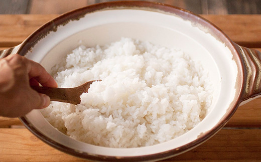 【5ヶ月定期便】七城のこめ 精米 計50kg（5kg×2袋×5回）ヒノヒカリ 《お申込みの翌月から出荷予定》白米 お米 米 おこめ 九州産 熊本県産---003-0297---