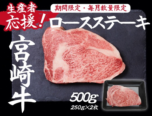 【生産者応援！】宮崎牛ロースステーキ500g（250g×2枚 宮崎牛 和牛 国産 牛肉 霜降り ステーキ ロース 冷凍 送料無料）