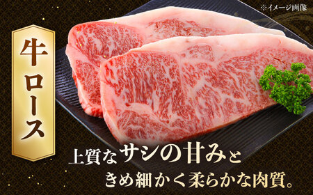 博多和牛 ロースステーキ 400g（200g×2枚）[ADCB010] 博多和牛 博多和牛 博多和牛