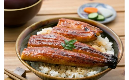 鹿児島産厳選うなぎ蒲焼セット2尾(指宿屋/IB023-003)国産 鰻 指宿市