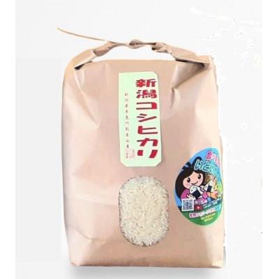 ふるさと納税 糸魚川市 新潟県産 糸魚川産令和7年産 コシヒカリ 100% 精米 3kg 新米