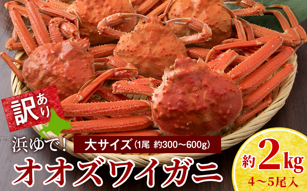 【7営業日以内発送】訳あり オオズワイガニオス 大サイズ (約300～600g) 浜ゆで 2kg (4～5尾入) AS223