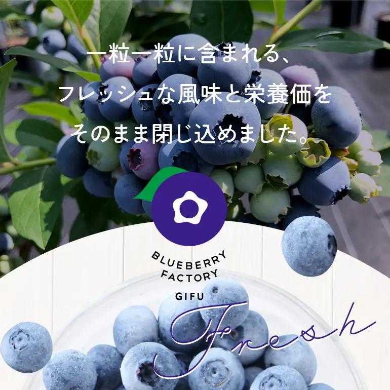 冷凍ブルーベリー＜真空パック保存＞2kgパック(500g×4P) A16-017 ブルーベリーファクトリー